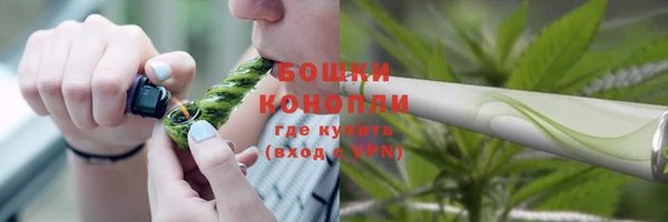 хмурый Вяземский