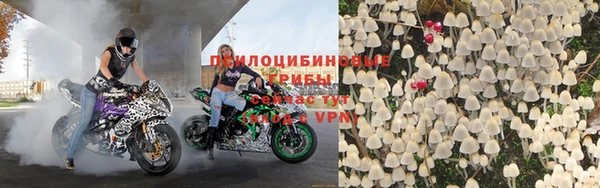 мяу мяу мука Вязьма